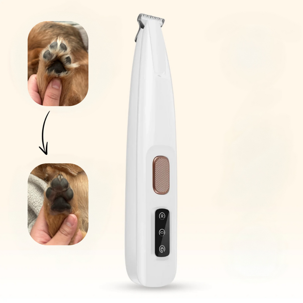 Petyou™ para casa y silencioso